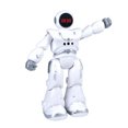 thumbnail image 1 of Meggemo Programmable RC Dance Robot - Gesture-Sensing Humanoid Toy with Singing Function, Great for Educational Play & Holiday Gifting, 1 of 6