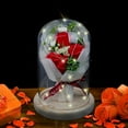 thumbnail image 1 of Meggemo Rose Bouquet Preserved Flower in Glass Dome with LED Light Valentine's Day Romantic Gift Box for Lover Anniversary, 1 of 5