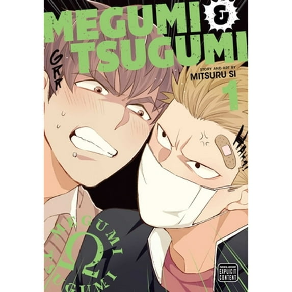 Pre-Owned Megumi & Tsugumi, Vol. 1 (Paperback) 1974734161 9781974734160
