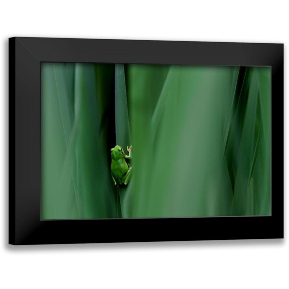 Mei, Massimo 14x11 Black Modern Framed Museum Art Print Titled - Stage Curtain