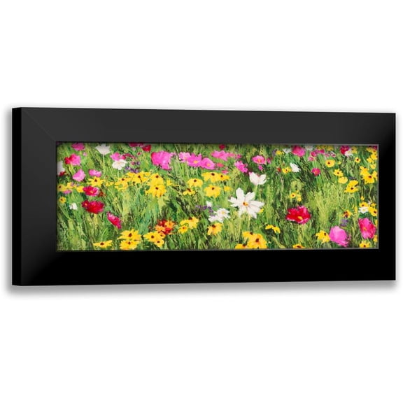 Mei, Silvia 14x7 Black Modern Framed Museum Art Print Titled - Field of Flowers