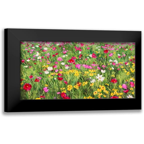 Mei, Silvia 14x9 Black Modern Framed Museum Art Print Titled - Field of Flowers