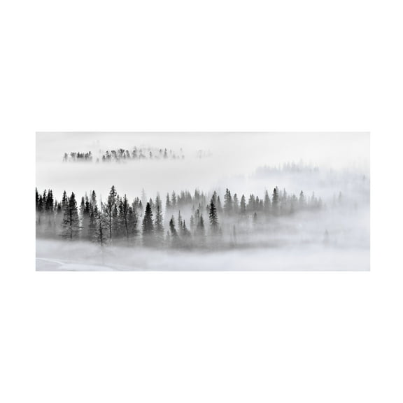 Mei Xu 'Foggy Forest' Canvas Art