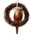thumbnail image 1 of Meidiya 2Pcs Bird Round Rattan Swings,Natural Vine Bird Perch Chewing Toy Bird Cage Accessories for Parrots Budgie Parakeet Cockatiel Cockatoo, 1 of 7