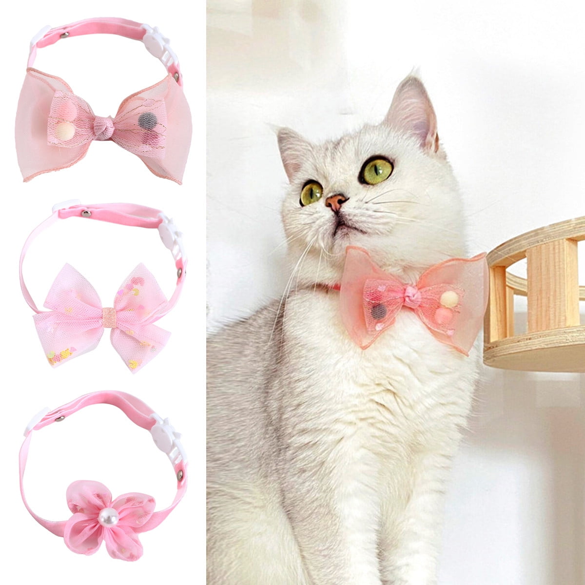 Girl kitten best sale collars