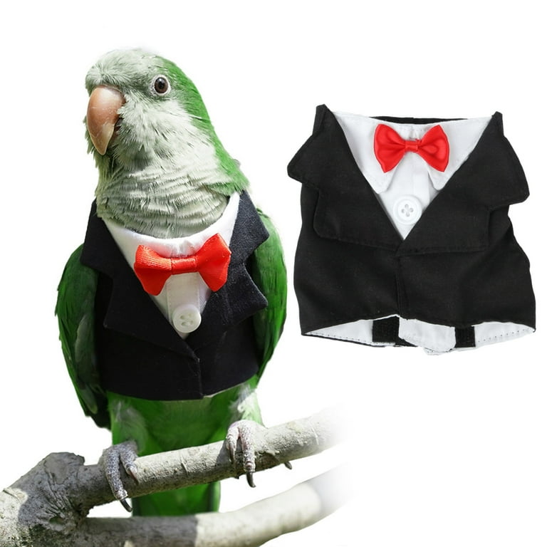 Clothes for clearance parakeets