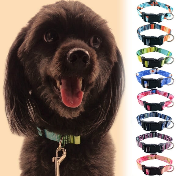 Meidiya Dog Collar for Girl & Boy Dog,Puppy Dog Collar Cute Girl Dog Collars with Safety Buckle Soft Adjustable Dog Collar for Puppy Small Dogs