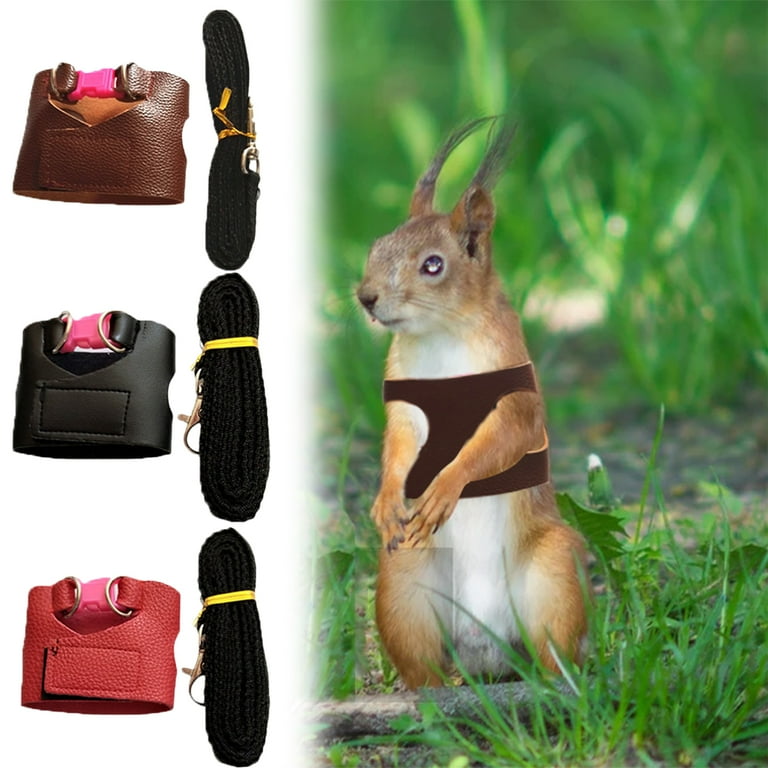 Meidiya Escape Proof Squirrel Traction Rope Adjustable Vest