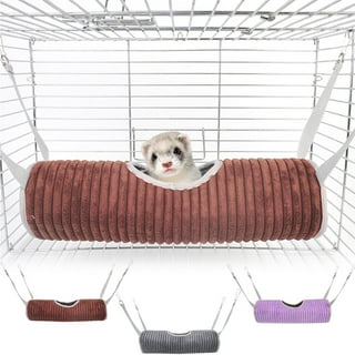 Ferret Toys