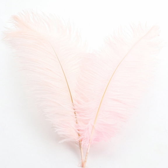Meiiso 32Cm Colorful Ostrich Feathers, Light Pink, Wedding Stage Decor, About 32 Cmcolorful Feathers Wedding Decoration Flower Arrangement Stage Clothing Decoration