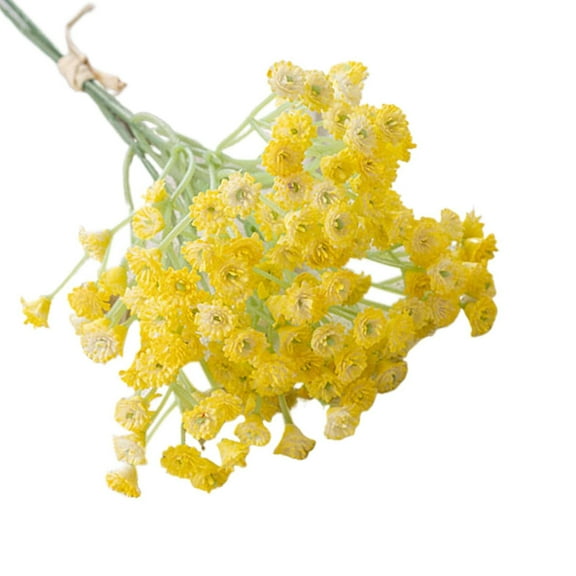 Meiix Natural Dried Flowers, Small Star Daisy Dried Decorative Mini Chamomile Bouquet for Wedding Floral Arrangements Home Decorations Valentine's Day Gifts Light Yellow