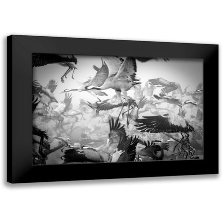 Meirovich, Ido 18x13 Black Modern Framed Museum Art Print Titled - Chaos