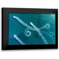 thumbnail image 1 of Meirovich, Ido 18x13 Black Modern Framed Museum Art Print Titled - Lines And Circles, 1 of 5