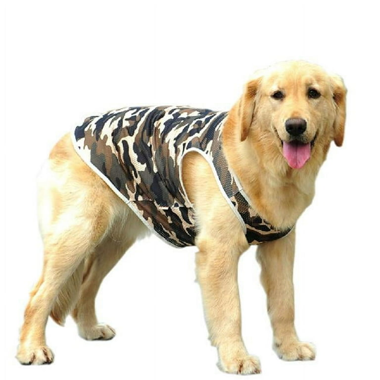 Golden retriever clothing and accessories sale