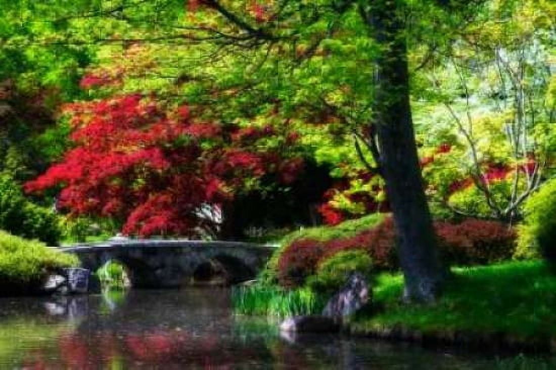 Meisho Garden I Canvas Art - Alan Hausenflock (20 x 28)