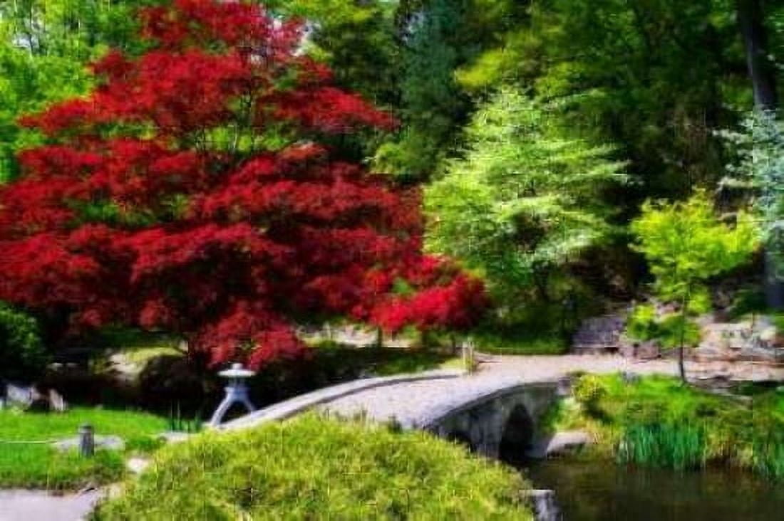 Meisho Garden II Canvas Art - Alan Hausenflock (20 x 28)