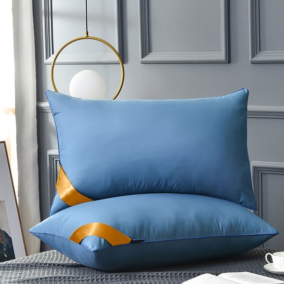 Meitianfacai Hotel Collection Bed Pillows for Sleeping 2 Pack, Blue Pillows for Side and Back Sleepers,Super Soft Down Alternative Microfiber Filled Pillows,16.5"x27.5"