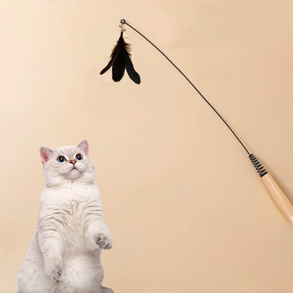 Meitianfacai Interactive Cat Teaser Wand, Bells and Catnip Chamber - 19.29in Exercise Toy for Indoor Kittens & Adult Cats, Weight Loss Training, Multi-Sensory Play, Durable Plush Material(Black)