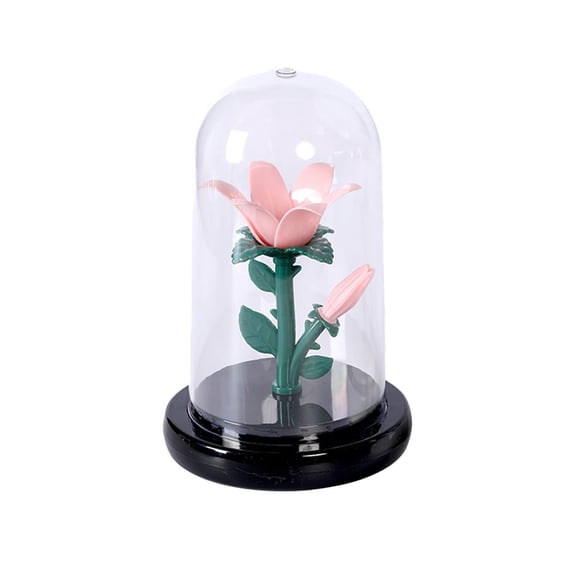 Meitianfacai Preserved Flowers Night Light Decorative Lamp - Romantic Ambient Lighting Gift for Valentine's Day, Valentines, Home Accents, Botanical Design