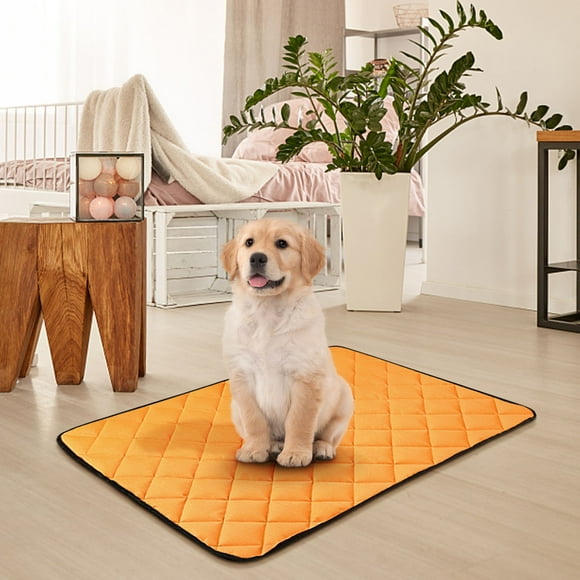 Dog Bed Incontinent Dogs