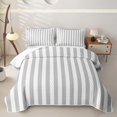 thumbnail image 1 of Meiyoeat Retro Pinstripe Bed Spread Queen, Modern Straight Line Queen Coverlet Set, Gray White, 1 of 7
