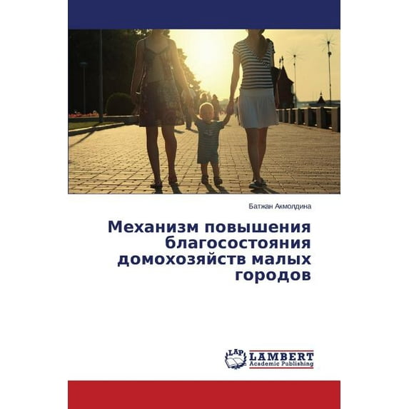 Mekhanizm povysheniya blagosostoyaniya domokhozyaystv malykh gorodov (Paperback)