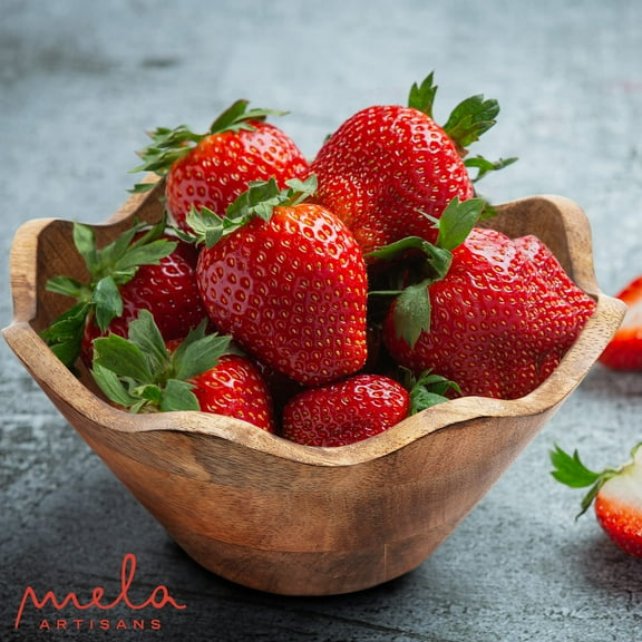 Mela Artisans Wooden Scalloped Bowl - Small | Rustic Ruffle Decorative Style