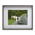 thumbnail image 1 of Melannco 17x21 Inch Gray MDF Wood Picture Frame with White Mat for 11x14 Photo, 1 of 6