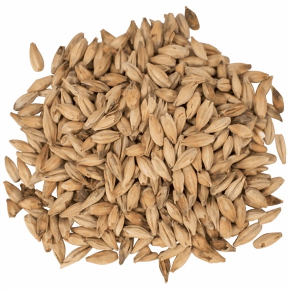 Melanoidin Malt 25L for Brewing Specialty Malted Barley for Beer Making, Home Brewing & Malt-Forward Recipes 1 lb - CRUSHED (Pre-Milled)