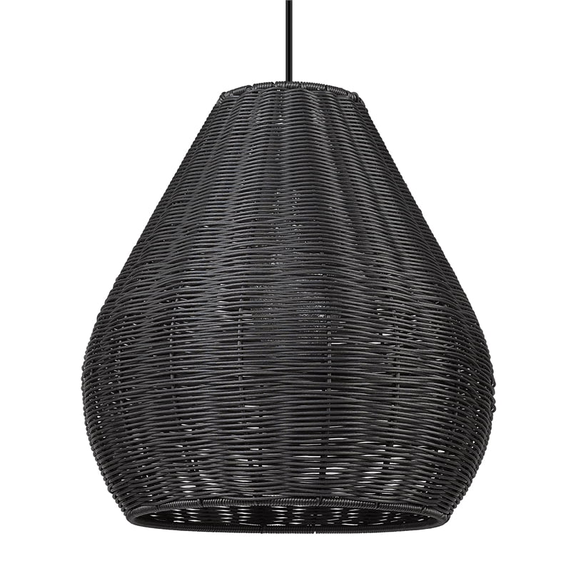 Matte Black Wicker and Glass Outdoor Pendant Light