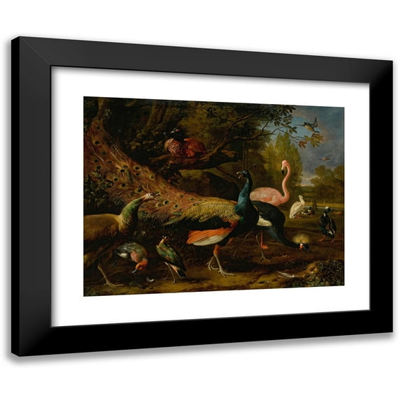 Melchior d'Hondecoeter 14x12 Black Modern Framed Museum Art Print Titled - Exotic Fowl, Including a Peacock and Peahen, Flamingo, African Crane, Pheasant, and Lapwing, Shoveller, Pelican and
