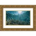thumbnail image 1 of Melesan, Serge 18x12 Gold Ornate Wood Framed with Double Matting Museum Art Print Titled - The Reef, 1 of 4