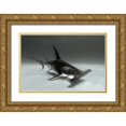 thumbnail image 1 of Melesan, Serge 24x17 Gold Ornate Wood Framed with Double Matting Museum Art Print Titled - Great Hammerhead, 1 of 4