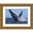 thumbnail image 1 of Melesan, Serge 32x23 Gold Ornate Wood Framed with Double Matting Museum Art Print Titled - Power, 1 of 4