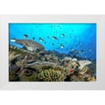 thumbnail image 1 of Melesan, Serge 32x23 White Modern Wood Framed Museum Art Print Titled - The Reef, 1 of 4