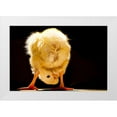 thumbnail image 1 of Meligy, Bassant 18x13 White Modern Wood Framed Museum Art Print Titled - Funny chick, 1 of 4