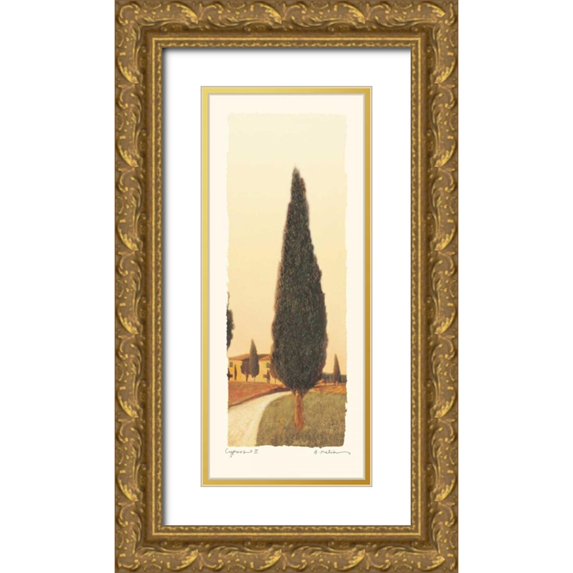 Melious, Amy 10x18 Gold Ornate Wood Framed with Double Matting Museum Art Print Titled - Cypress II