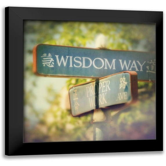 Melious, Amy 12x12 Black Modern Framed Museum Art Print Titled - Wisdom