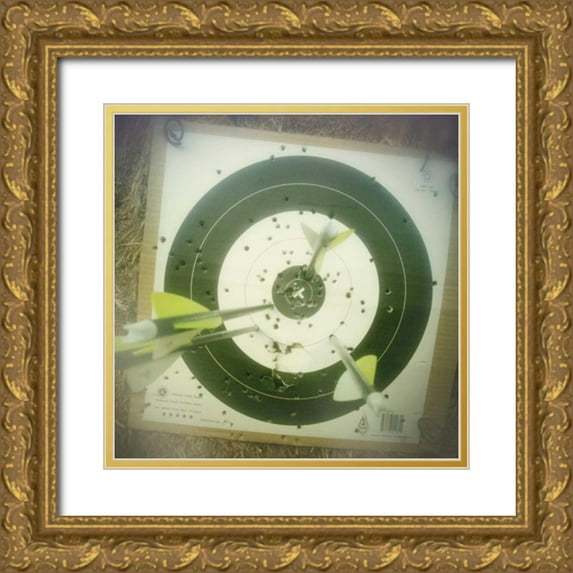 Melious, Amy 12x12 Gold Ornate Wood Framed with Double Matting Museum Art Print Titled - Aim and Try Again