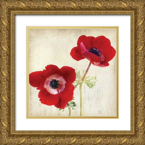 Melious, Amy 12x12 Gold Ornate Wood Framed with Double Matting Museum Art Print Titled - Red II