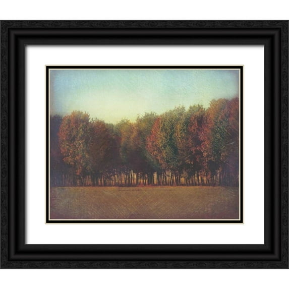 Melious, Amy 14x12 Black Ornate Wood Framed with Double Matting Museum Art Print Titled - Natures Bliss II