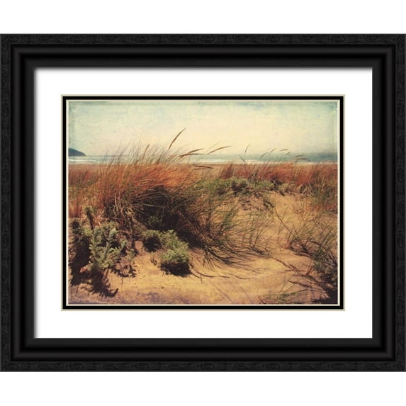 Melious, Amy 14x12 Black Ornate Wood Framed with Double Matting Museum Art Print Titled - Sand Dunes I