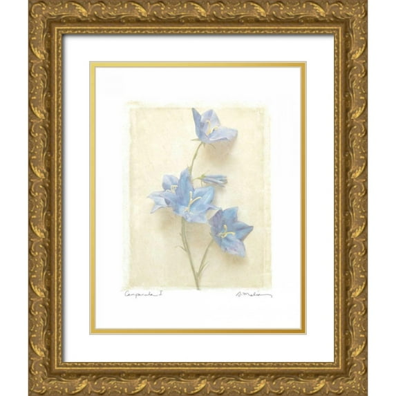 Melious, Amy 15x18 Gold Ornate Wood Framed with Double Matting Museum Art Print Titled - Campanula I