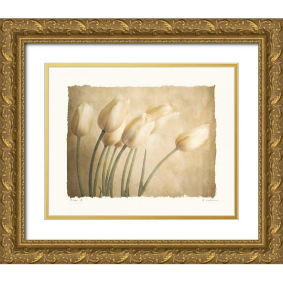 Melious, Amy 18x15 Gold Ornate Wood Framed with Double Matting Museum Art Print Titled - Aria II