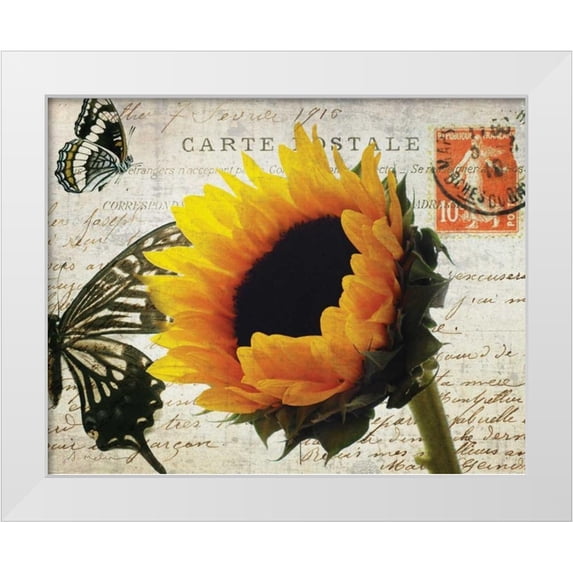 Melious, Amy 18x15 White Modern Wood Framed Museum Art Print Titled - Carte Postale Sunflower