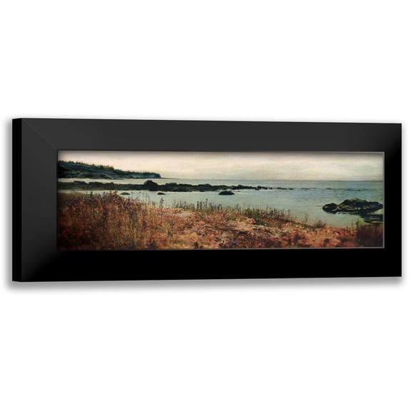 Melious, Amy 18x9 Black Modern Framed Museum Art Print Titled - Island Shores I
