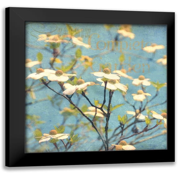 Melious, Amy 20x20 Black Modern Framed Museum Art Print Titled - Dogwood I