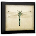 thumbnail image 1 of Melious, Amy 20x20 Black Modern Framed Museum Art Print Titled - Dragonfly I, 1 of 5
