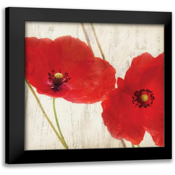 Melious, Amy 20x20 Black Modern Framed Museum Art Print Titled - Red III