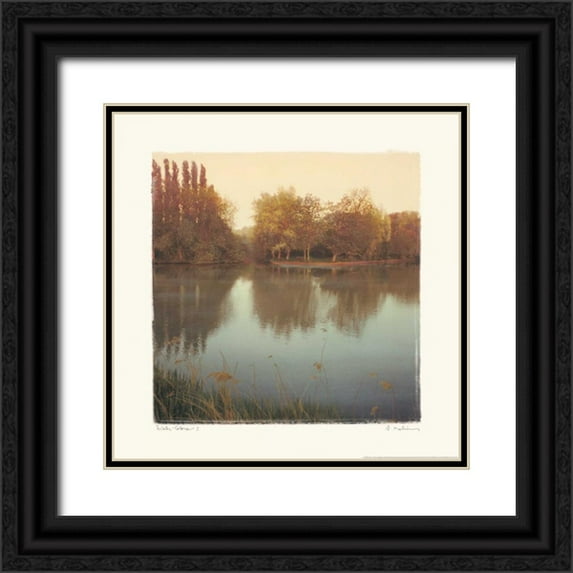 Melious, Amy 20x20 Black Ornate Wood Framed with Double Matting Museum Art Print Titled - Water Colors I